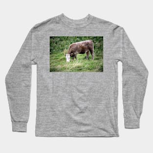 Irish Cattle Long Sleeve T-Shirt